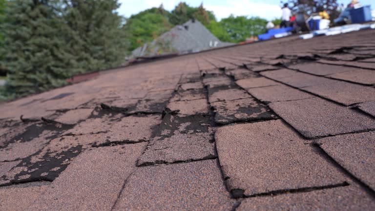 Best Roof Coating and Sealing  in Bear Valley Springs, CA